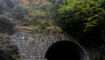 Herbst im Land