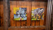 Ausstellung «sichtbar» im Alten Pfarrhof
