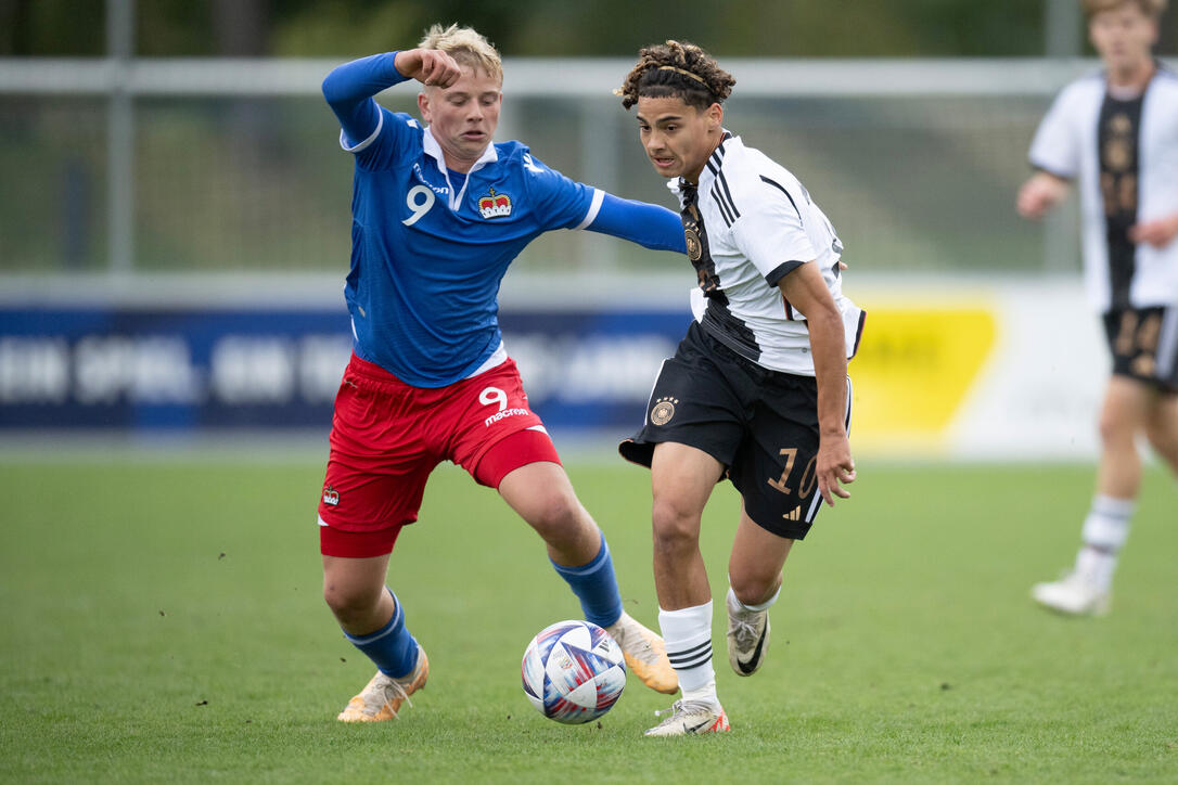 DEUTSCHLAND - LIECHTENSTEIN