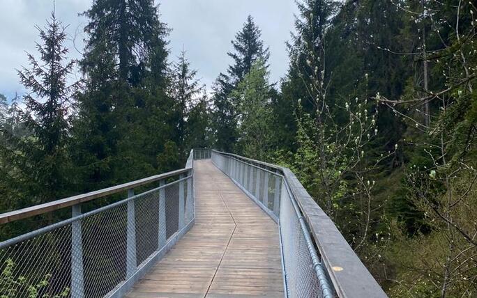 Baumwipfelpfad Laax