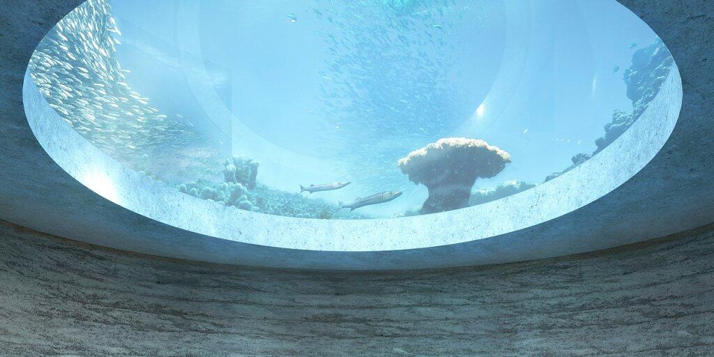 Der Zoo will im Ozeanium mittels Aquarien mit den jeweils passenden Tieren etwa Gezeitenströmungen oder Probleme des Mittelmeeres thematisieren. (Visualisierung)