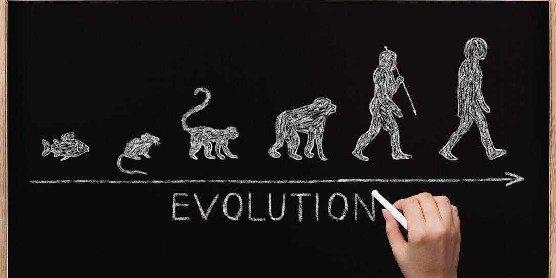 Blackboard Evolution Blackboard Evolution