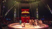 Circus Royal in Buchs