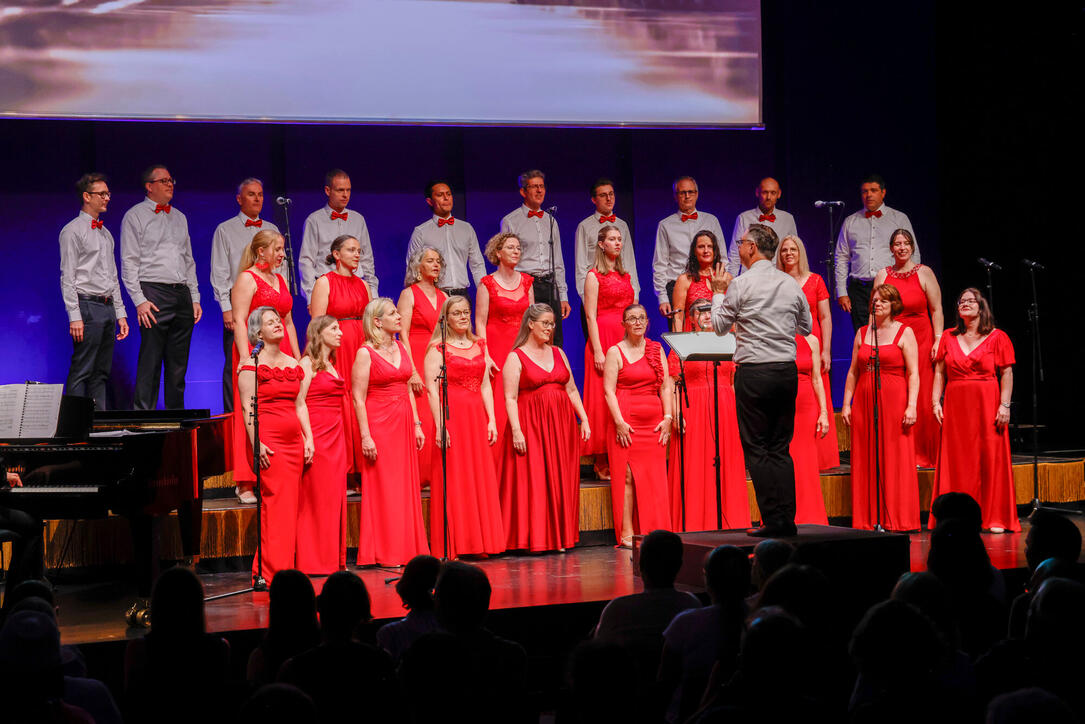 Jubil&auml;umskonzert &laquo;30 Jahre Divertimento Chor&raquo;. 20.06.2026.