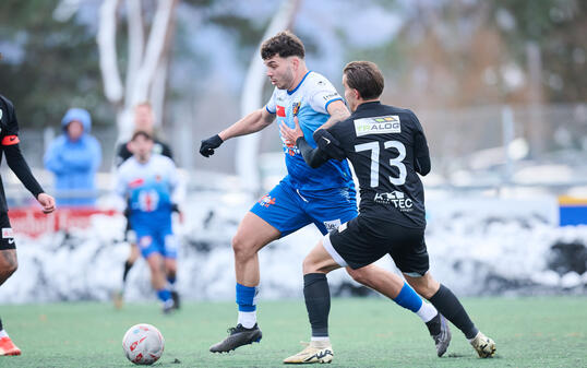 Aleksandar Mladenovic (l.) ist f&uuml;r die USV der R&uuml;ckhalt in der Offensive.