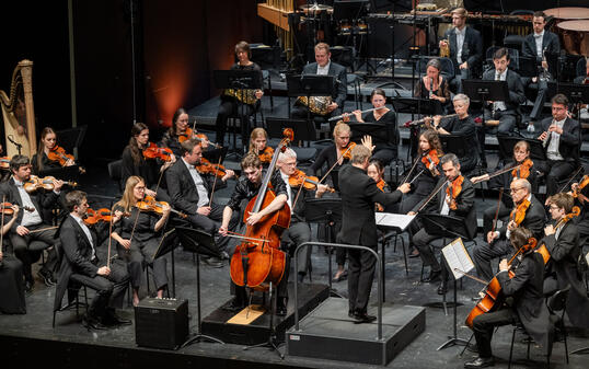 2. Abo Sinfoniekonzert &laquo;SOL im SAL&raquo;