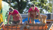 Lie Mud Run 2026