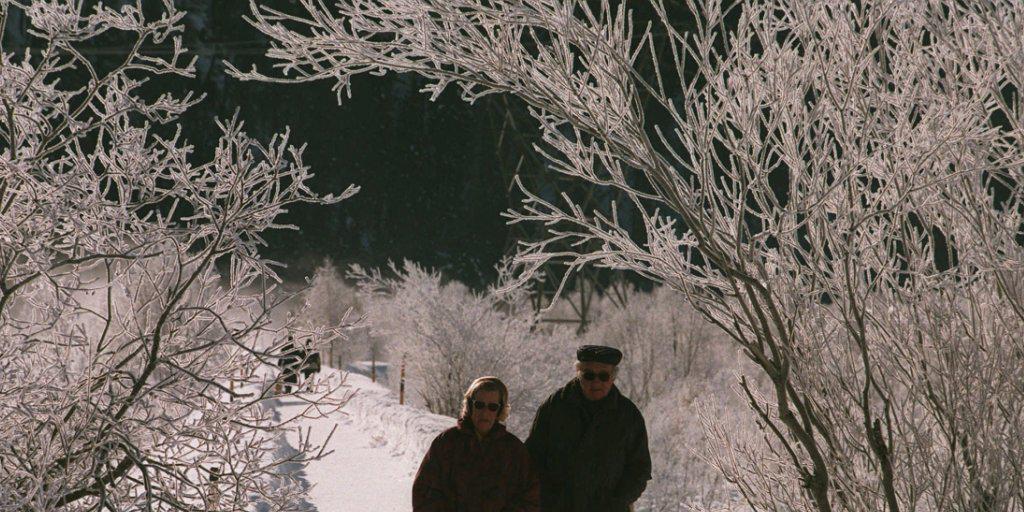 Ein Spaziergang in winterlicher Landschaft kann durch einen Sturz ein unschönes Ende nehmen. Die bfu und die Pro Senectute ermutigen Senioren, sich mit Übungen fit zu halten, um das Sturzrisiko zu mindern. (Archivbild)