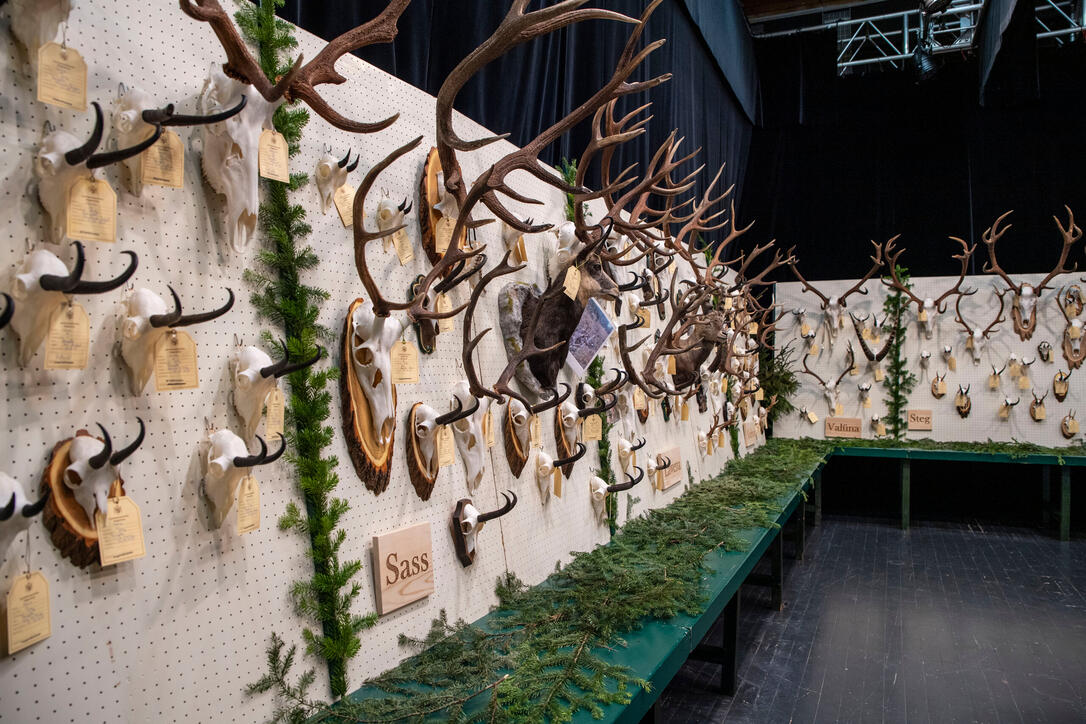 Hegeschau, in Schaan (28.02.2026)