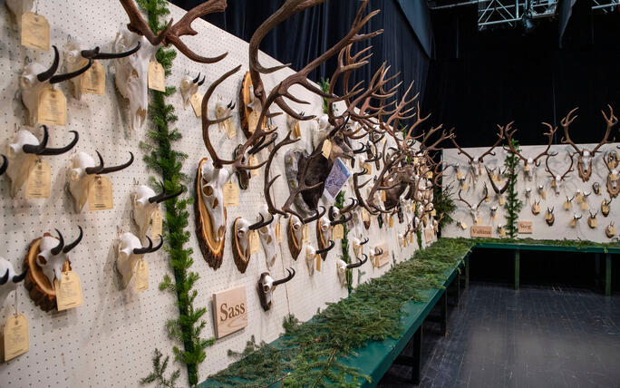 Hegeschau, in Schaan (28.02.2026)