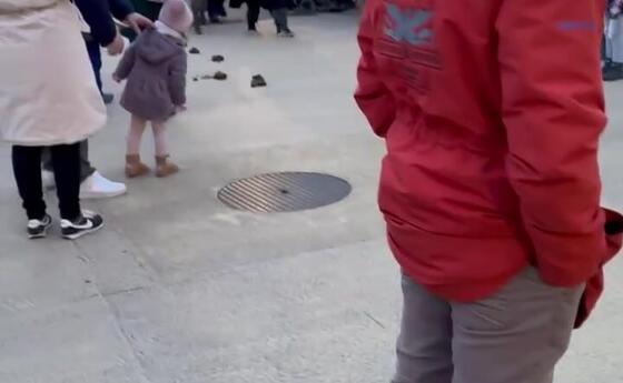 Esel Ruppi bei seinem Einsatz