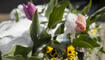 Schnee im Frühling