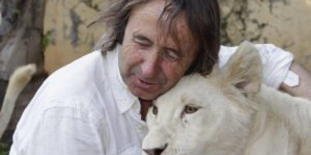 Zoogründer und -direktor Juan Luis Malpartida tröstet die weisse Löwin, die im März nach zwei Wochen Wehen das erste weisse in Spanien geborene Löwenjunge geboren hatte. Das Muttertier hat nach der traumatischen Niederkunft ihr Junges verstossen (Pressebild) Zoogründer und -direktor Juan Luis Malpartida tröstet die weisse Löwin, die im März nach zwei Wochen Wehen das erste weisse in Spanien geborene Löwenjunge geboren hatte. Das Muttertier hat nach der traumatischen Niederkunft ihr Junges verstossen (Pressebild)