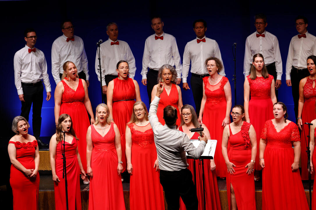 Jubil&auml;umskonzert &laquo;30 Jahre Divertimento Chor&raquo;. 20.06.2026.