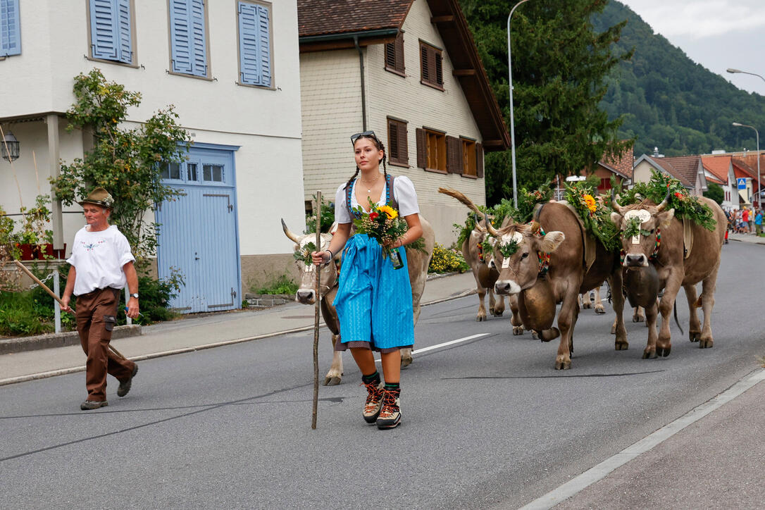 Alpabtrieb, Rüthi, St. Gallen, Schweiz