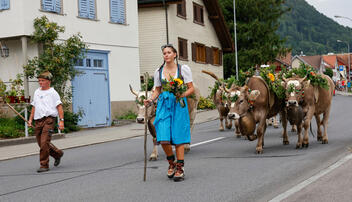 Alpabtrieb, Rüthi, St. Gallen, Schweiz