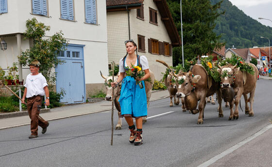 Alpabtrieb, Rüthi, St. Gallen, Schweiz