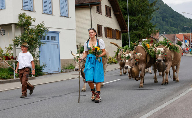 Alpabtrieb, Rüthi, St. Gallen, Schweiz
