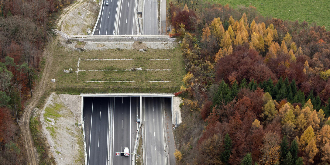 WILD, BURECKE, WILDBRUECKE, GRUENBRUECKE, WILD, BURECKE, WILDBRUECKE, GRUENBRUECKE,