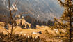 Wanderung Gaflei - Silum - altes Tunnel