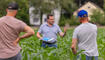 Kulinarik Feld Flurgang durch das Haberfeld in Vaduz (23.06.2026)