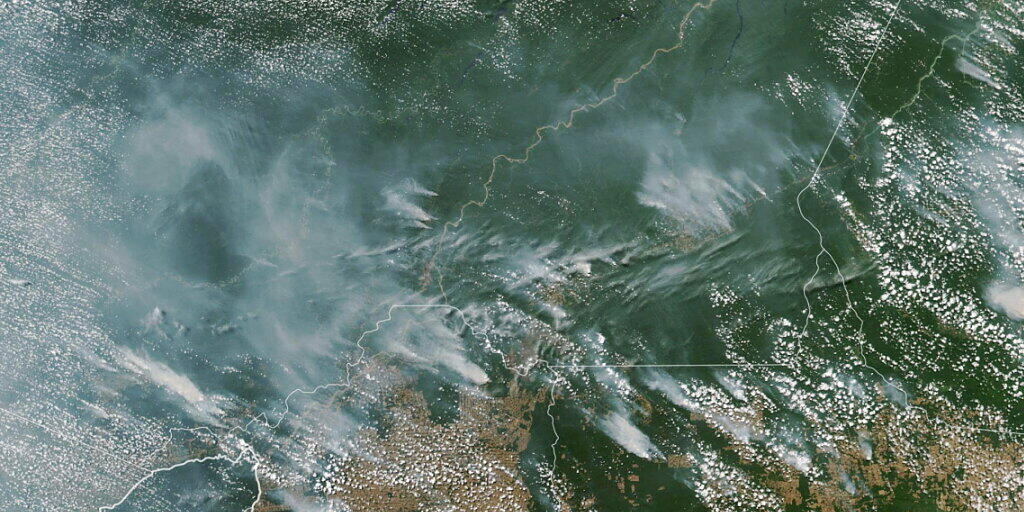 Rauchschwaden verraten die Waldbrände im Amazonasgebiet auf dieser Satellitenaufnahme der Nasa.