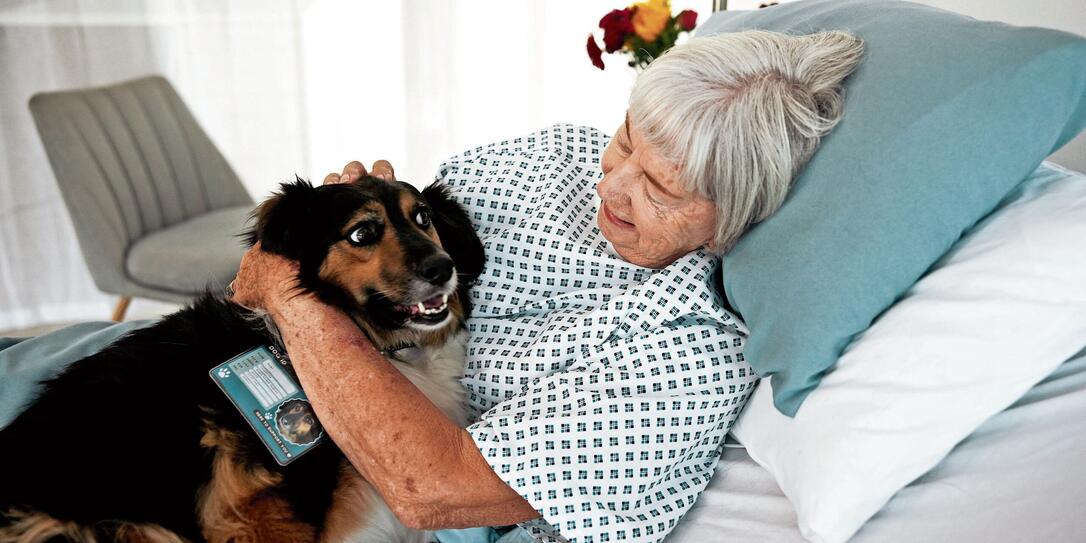 Senior, happy woman and hug with service dog on hospital bed for healthcare aid, assistance or loyalty. Female person, pet caregiver or assistant with client for elderly care, love or clinic support