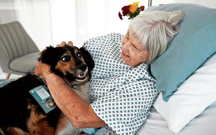 Senior, happy woman and hug with service dog on hospital bed for healthcare aid, assistance or loyalty. Female person, pet caregiver or assistant with client for elderly care, love or clinic support
