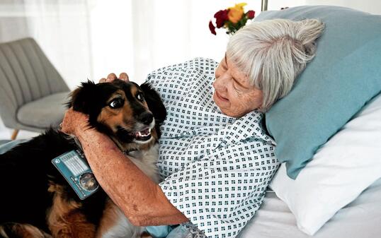 Senior, happy woman and hug with service dog on hospital bed for healthcare aid, assistance or loyalty. Female person, pet caregiver or assistant with client for elderly care, love or clinic support