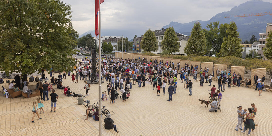 Corona Demo in Vaduz