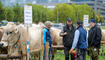 Unterl&auml;nder Jahr- und Pr&auml;mienmarkt in Eschen