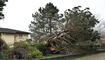 Sturm fegt über Liechtenstein