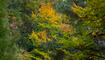 Herbst im Land