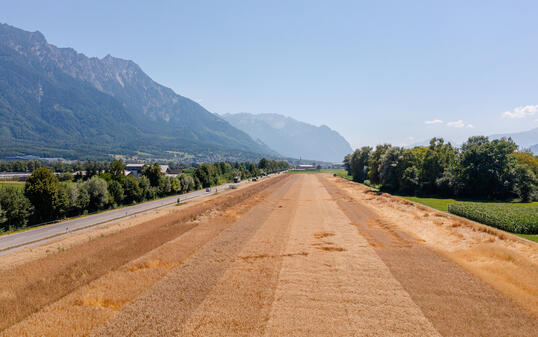 GETREIDE ERNTE