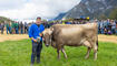 Melser Herbstviehschau (11.10.2024)