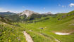 Wanderung: Augstenberg, Pfälzerhütte, Naafkopf