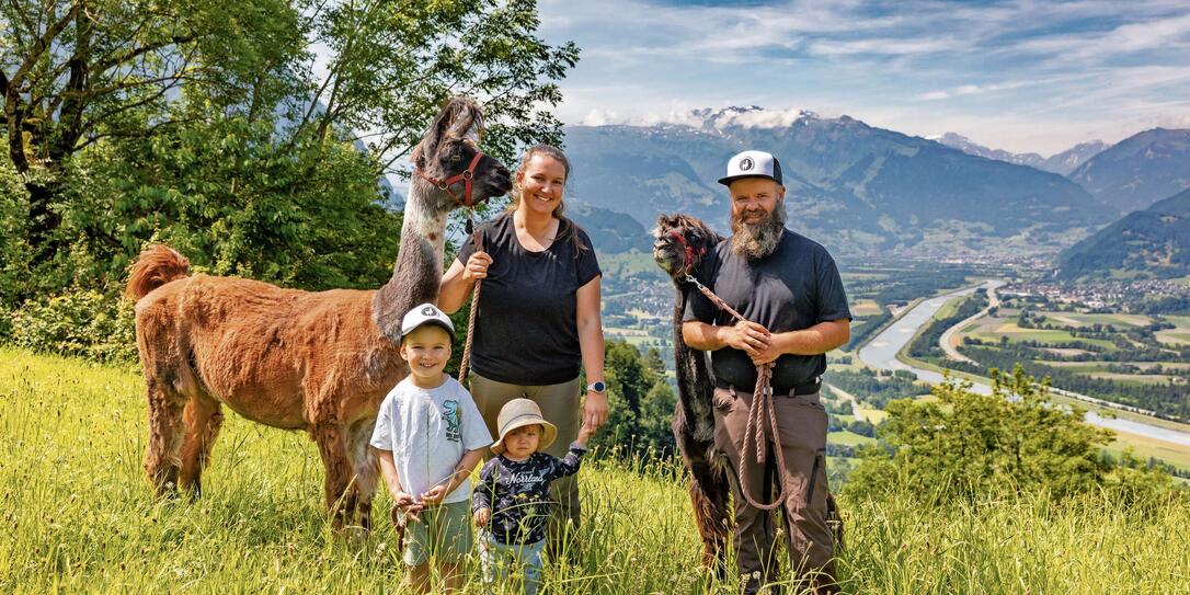 Lama und Alpakahof in Triesenberg