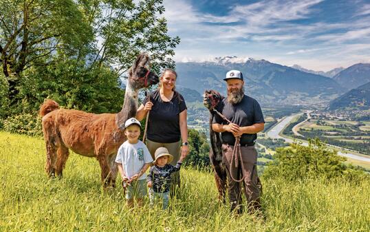 Lama und Alpakahof in Triesenberg