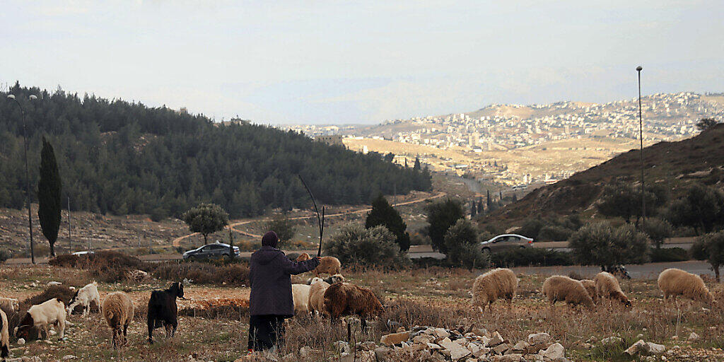 Israel treibt Pläne zum Bau von mehr als 1200 weiteren Wohnungen im annektierten Ost-Jerusalem voran. Dieser Hügel auf dem der palästinensische Hirte mit seiner Herde steht, ist Teil des Gebiets. Foto: Mahmoud Illean/AP/dpa