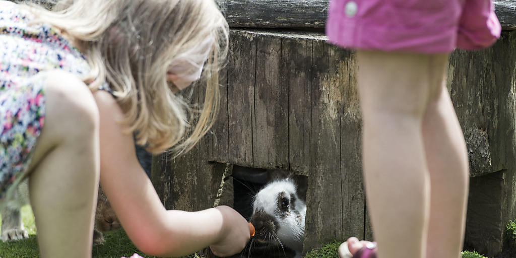 Spezielle Hotels für Kinder und Erwachsene sollen neues Qualitätslabel erhalten