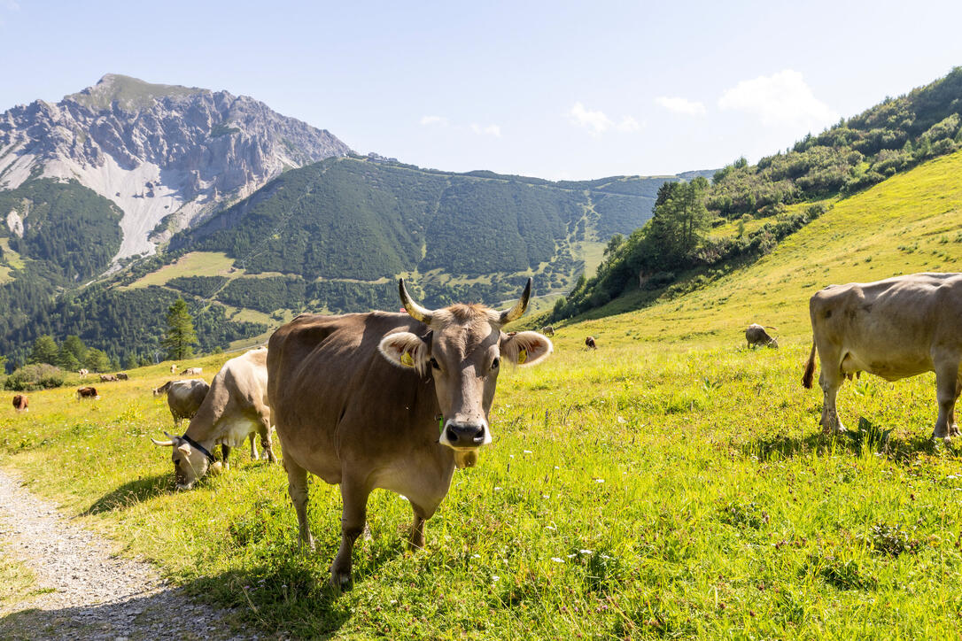Wanderung Pf&auml;lzerh&uuml;tte Naafkopf