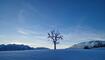 Winterwunderland Liechtenstein (03.12.23)