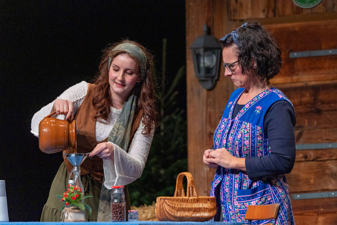 Dreik&ouml;nigsunterhaltung der Feuerwehr Vaduz (05.01.2026)