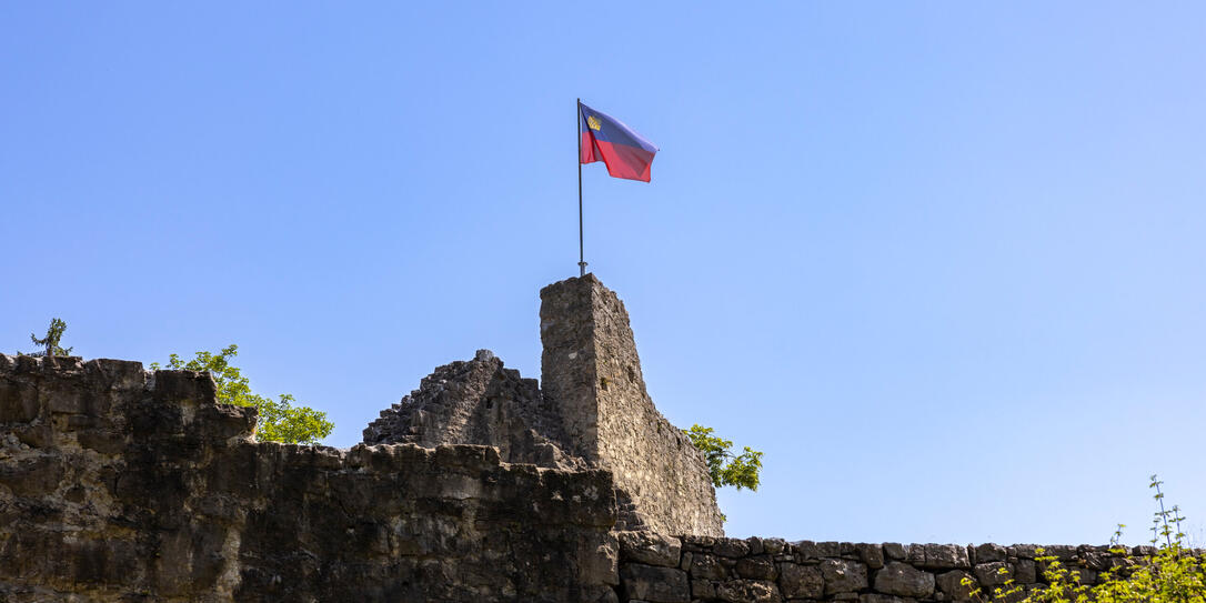 Burg Schellenberg