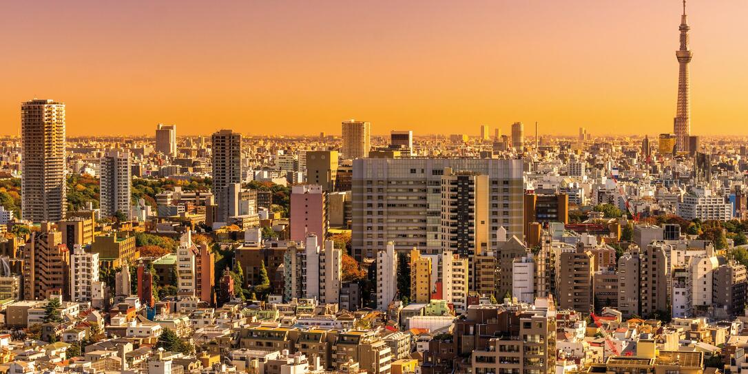 Tokyo skyline,  Japan.