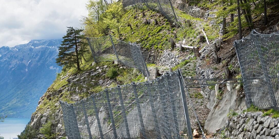 STRASSE, PASSSTRASSE, SICHERHEIT, NETZ, SICHERHEITSNETZ, SCHUTZNETZ, SCHUTZNETZE, GITTER, BAUM, WALD, STRASSE, PASSSTRASSE, SICHERHEIT, NETZ, SICHERHEITSNETZ, SCHUTZNETZ, SCHUTZNETZE, GITTER, BAUM, WALD,