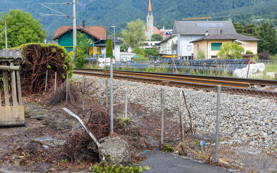 Heckenbrand in Schaan