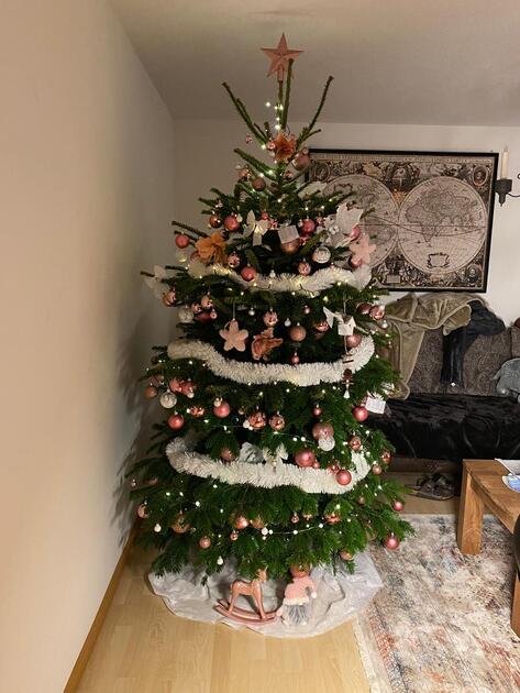 Sahra-Maria Kranz, Gamprin