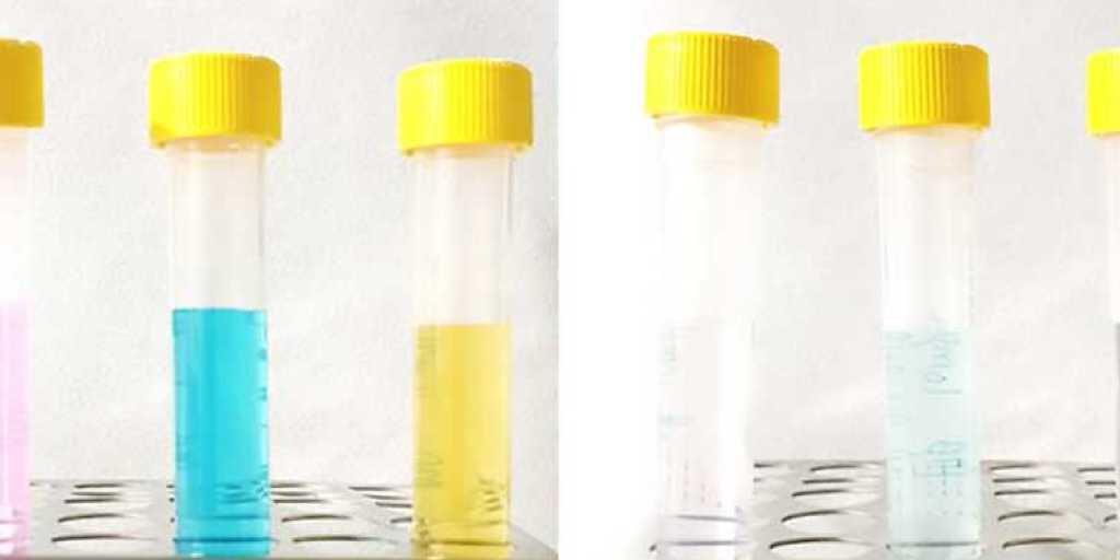 Simsalabim: Links durch Problemstoffe verunreinigtes Wasser, rechts nach der Behandlung mit Nanoparikeln. (zVg)