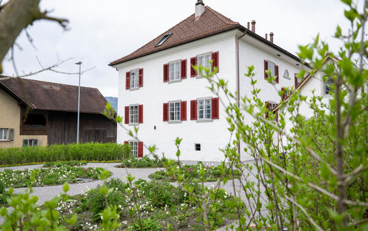 250415 Vorgeschichte zu neuem Festival im Hagenhaus mit Sara Dom